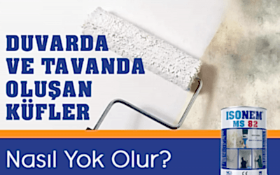 Duvar ve tavanda oluşan küfler için kesin çözüm!